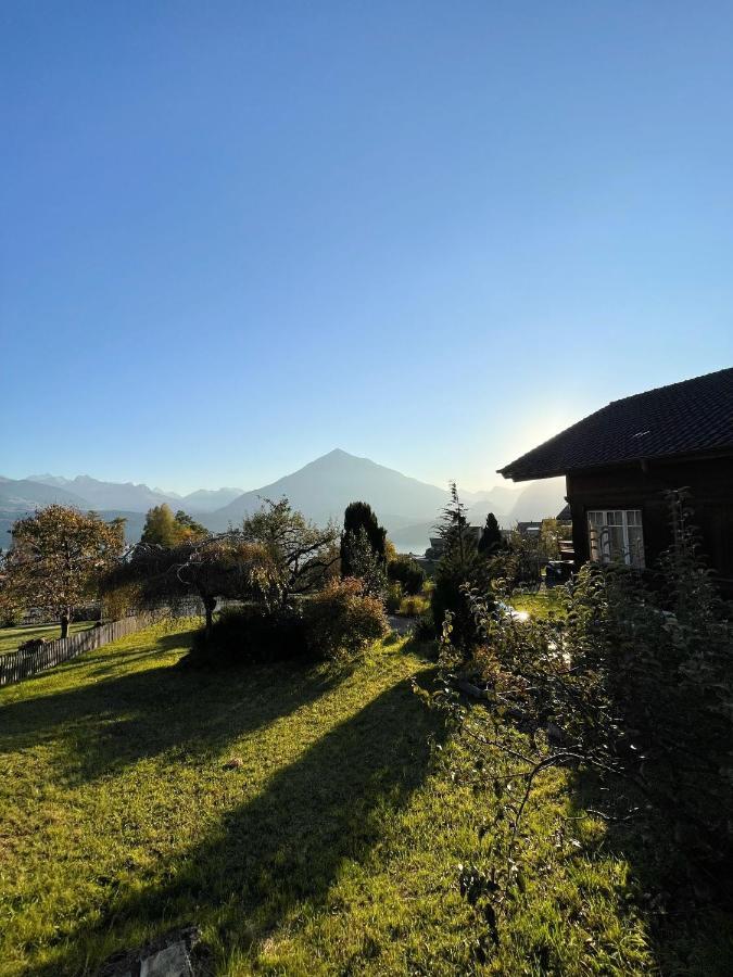 Chalet Edelweiss Зигрисвил Екстериор снимка